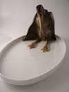 Porcelain Tray