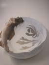 Fish dish 